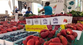 Picture of Westwood Village <br> Farmers' Market