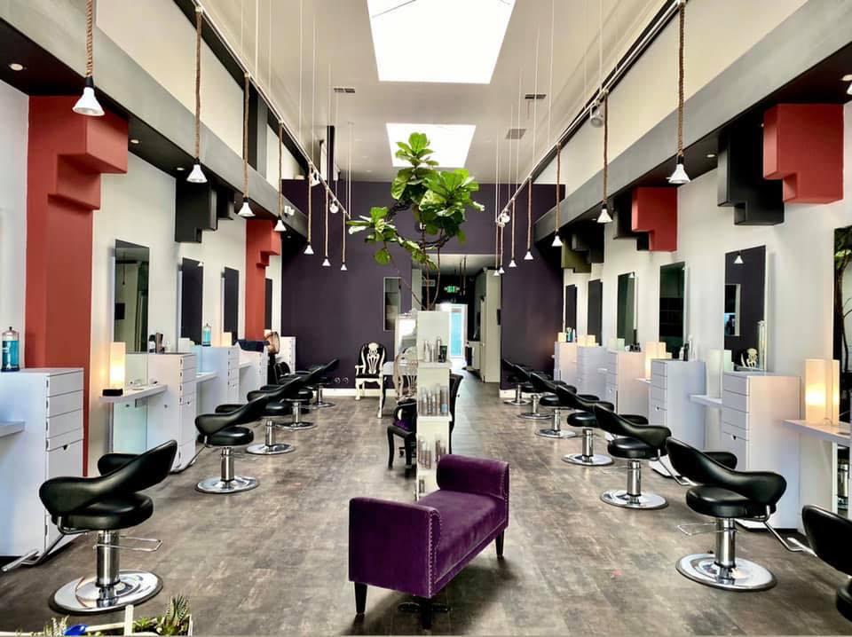 Platinumblack a Michael Haase Salon