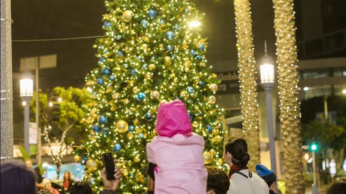 Westwood Village Newsletter: December 2025